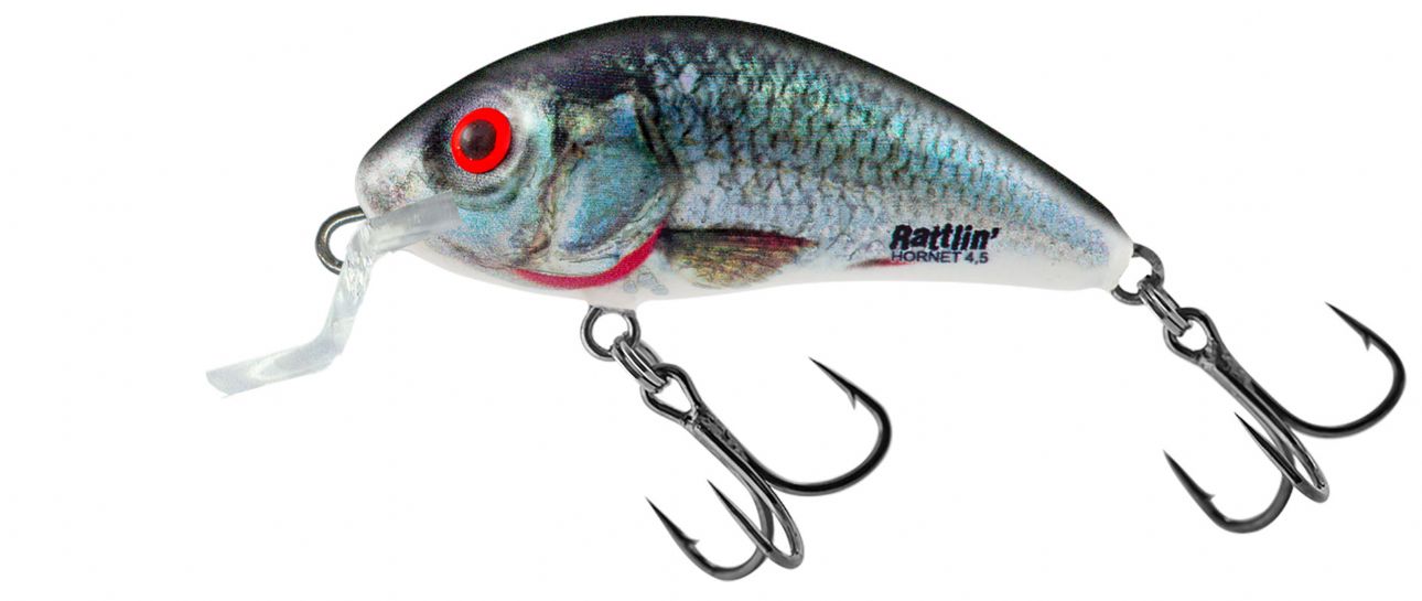 Salmo Rattlin Hornet Shallow Runner 3.5cm